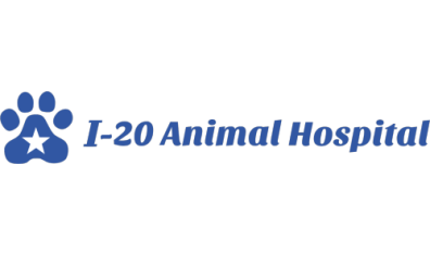 I - 20 Animal Hospital-HeaderLogo